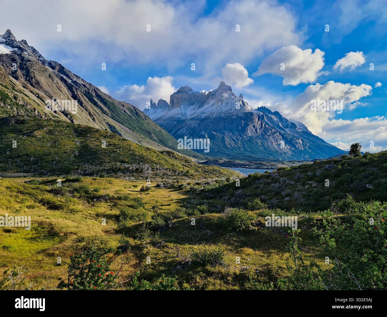 Valle verde e famose vette di Torres del Paine, Patagonia, Cile. Foto Stock