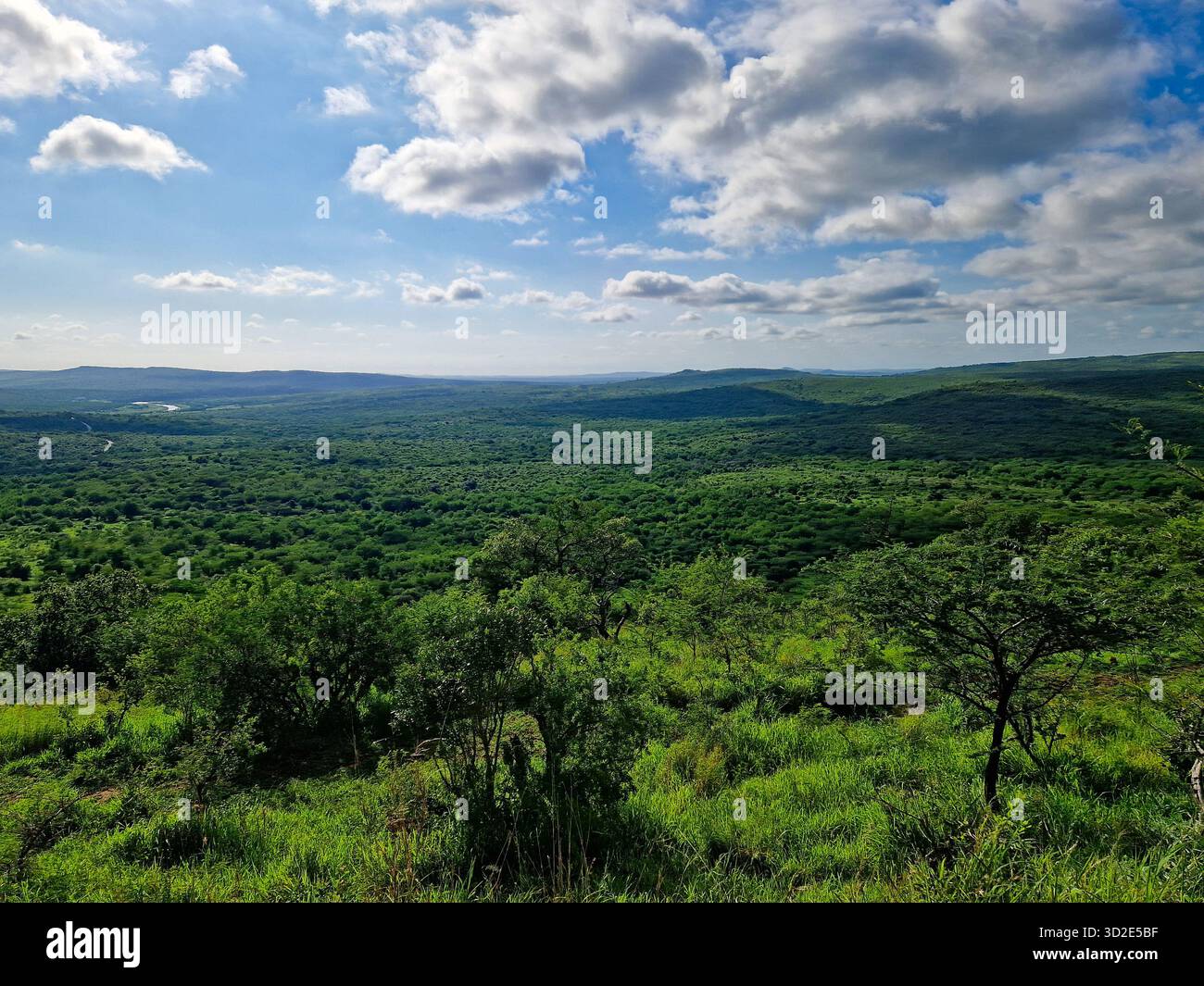 Rolling Green Hills a Hluhluwe-iMfolozi Park, Sudafrica Foto Stock