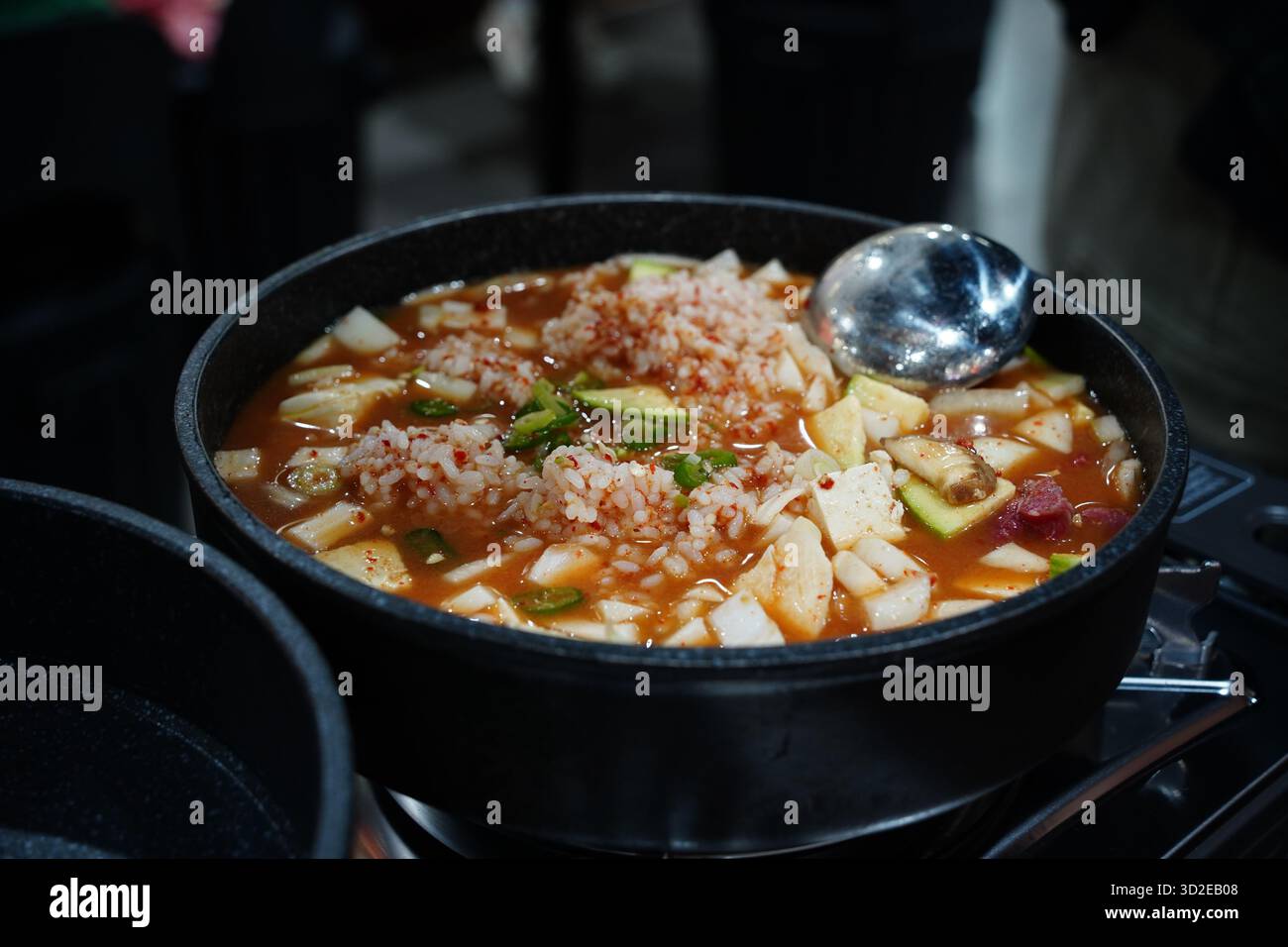 Abbondante pasta di soia coreana stufato con riso, tofu e verdure Foto Stock