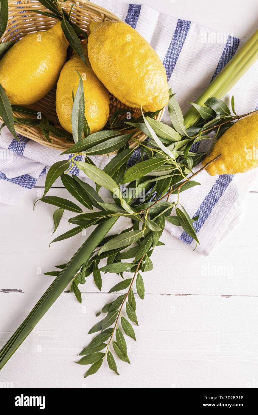 Sfondo festivo verticale della festa ebraica di Sukkot con simboli tradizionali della festa della gioia e del raccolto. etrog, salice, rami di palma Foto Stock