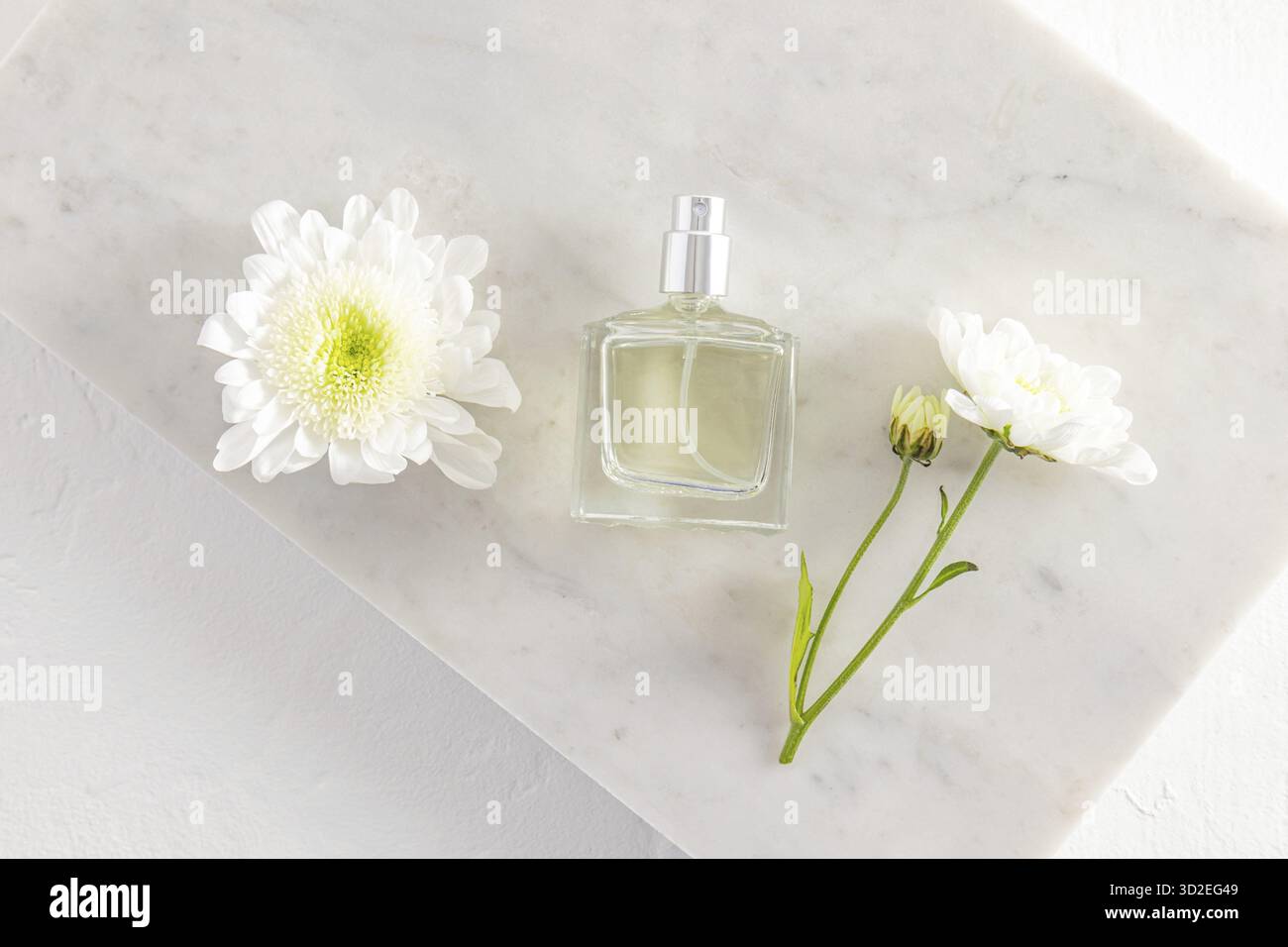 Vista dall'alto di una bella bottiglia di profumo femminile spruzzata su uno sfondo bianco di marmo con crisantemi. un modello per profumo. bottiglia senza nome Foto Stock