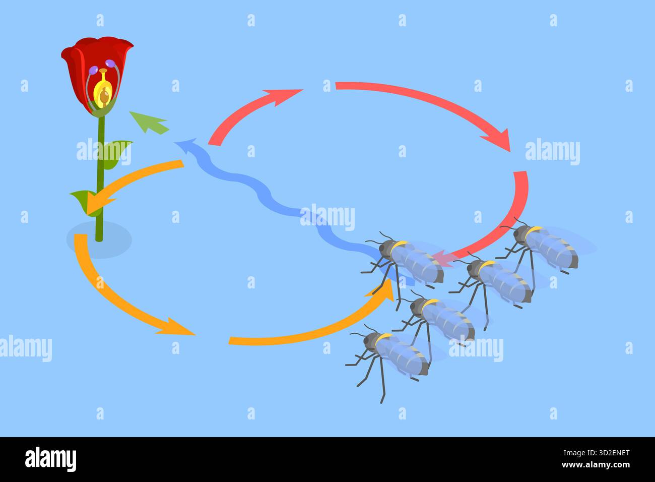 Illustrazione concettuale isometrica piatta 3D di Bee waggle Dance, Animal Language 3D Isometric Flat Conceptual Illustration of Bee waggle Dance, Animal Language Foto Stock
