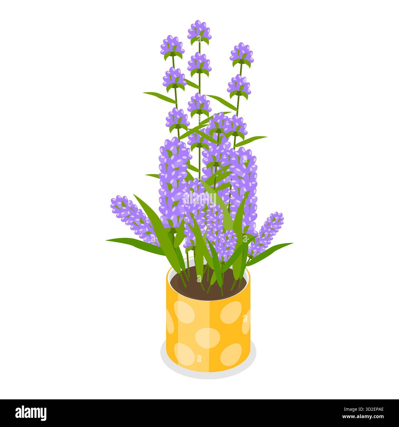 Set piatto isometrico 3D di mobili da giardino, collezione Patio. Punto 3 Foto Stock