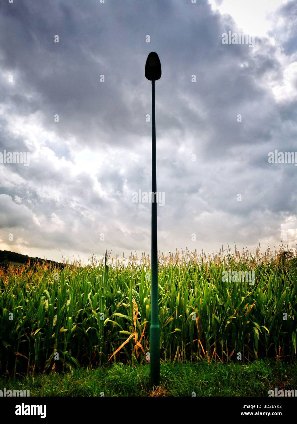 Un alto palo nero si innalza in modo prominente di fronte a un fitto campo di mais, con nuvole scure che si radunano sopra all'avvicinarsi della sera Foto Stock