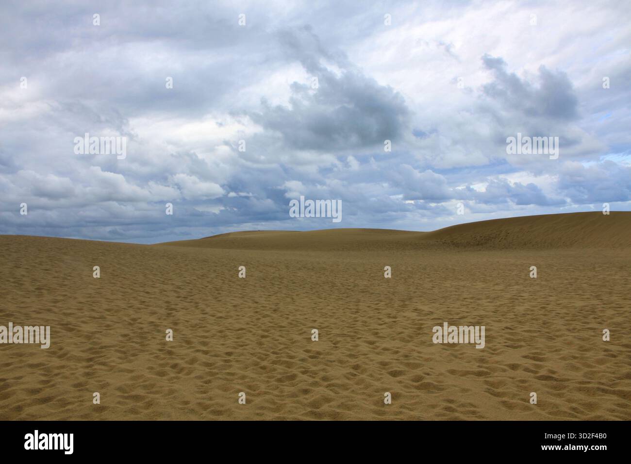 Paesaggio minimalista di dune di sabbia ondulate sotto il suggestivo cielo nuvoloso, Dune du Pilat Foto Stock
