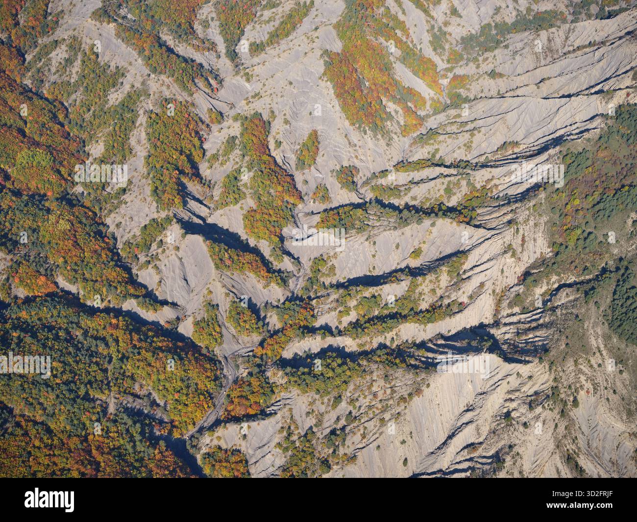 VISTA AEREA. Interessante paesaggio di calanchi grigi e alcuni boschetti che mostrano i loro colori autunnali. Esparron, Hautes-Alpes, Francia. Foto Stock