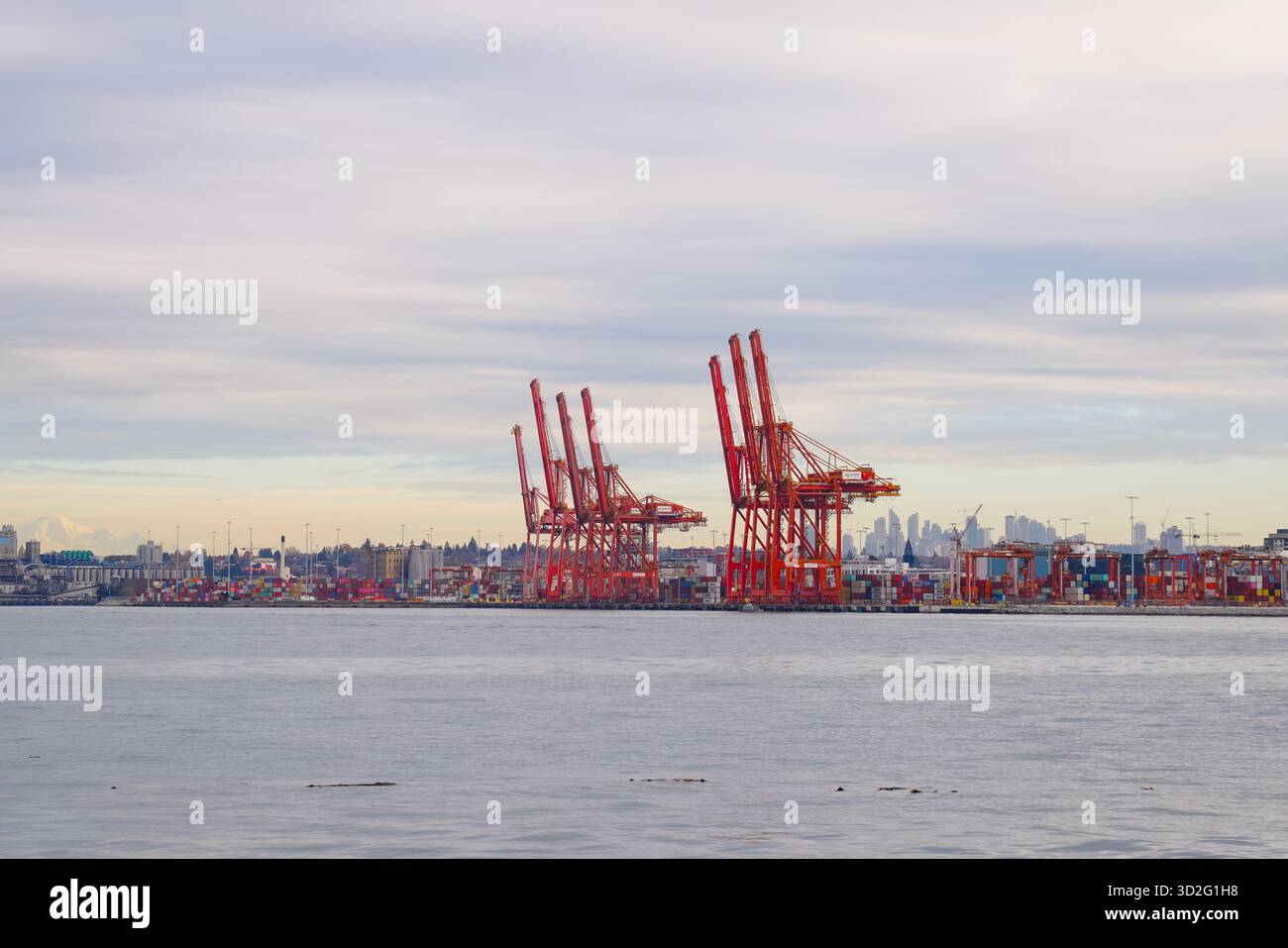 Una fila di torreggianti gru rosse si erge lungo il trafficato terminal delle navi con contenitori multicolore impilati sotto un morbido cielo pastello e un lontano skyline Foto Stock