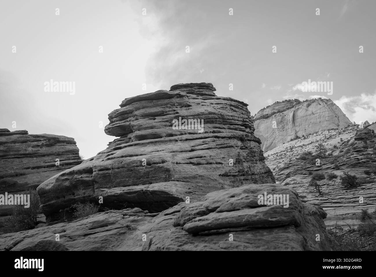Una vista monocromatica delle formazioni di arenaria a strati e delle scogliere che si innalzano vicino all'Angel's Landing nel Parco Nazionale di Zion. Foto Stock