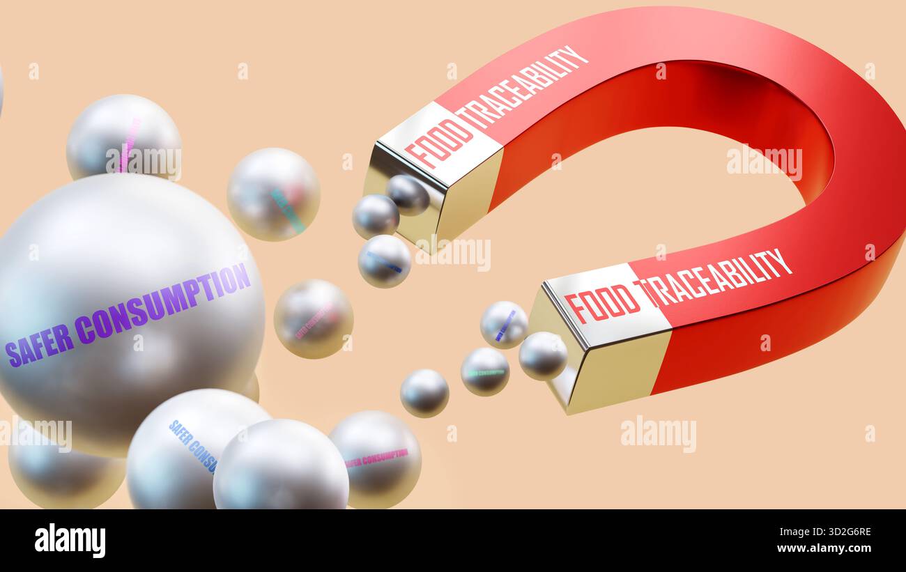 Tracciabilità degli alimenti che attira un consumo più sicuro. Una metafora magnetica in cui la tracciabilità degli alimenti attrae un consumo più sicuro. Foto Stock