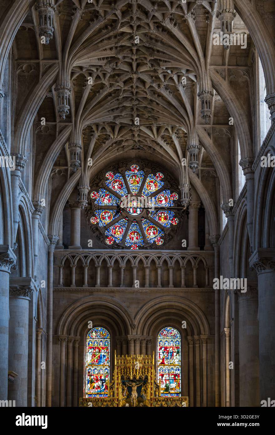 Interno della cattedrale del Christ Church College con soffitto a volta in pietra e rosetta in vetro colorato, Università di Oxford, Inghilterra, Regno Unito Foto Stock
