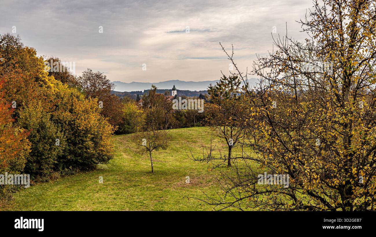 La fotografia cattura un paesaggio sereno caratterizzato da un ampio prato erboso che digrada delicatamente verso l'alto. Il prato è delimitato da fitti alberi autunnali displa Foto Stock