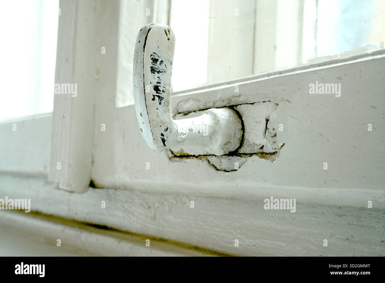 Un'immagine macro di una vecchia maniglia per finestra curva con vernice bianca incrinata. Un'immagine di un dettaglio di una vecchia cornice di legno per finestre, Foto Stock