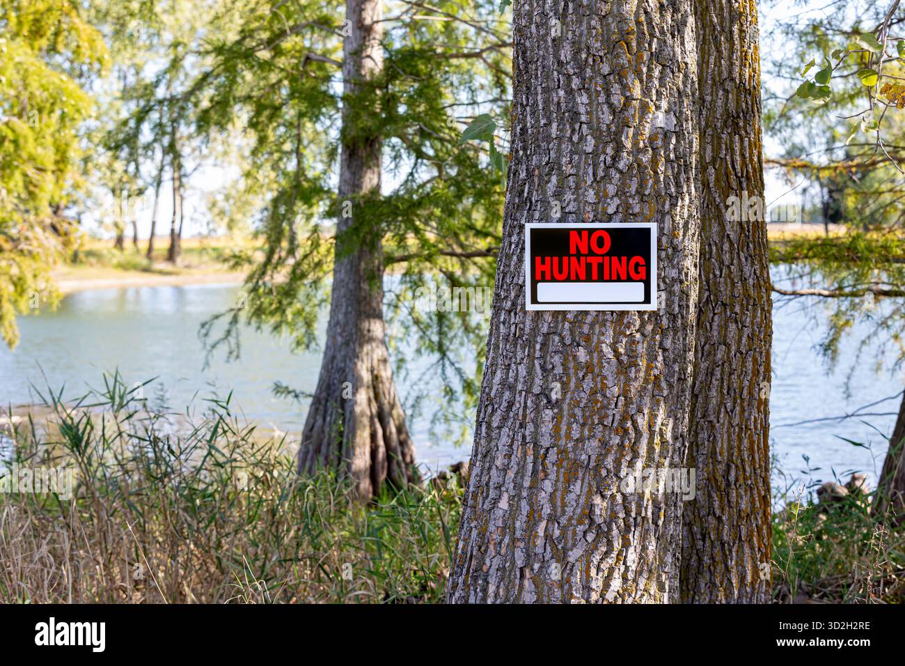 Nessun cartello di caccia apposto su un albero vicino al lago. Stagione di caccia, violazione e concetto di legge di caccia. Foto Stock
