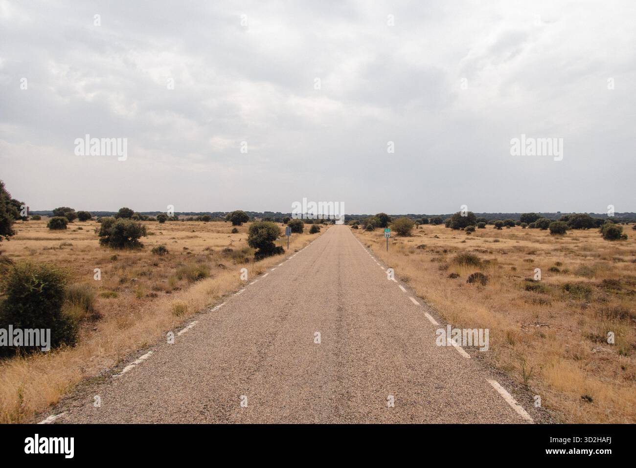 Una linea retta nel vuoto. Una strada di campagna vuota nella provincia spagnola di Soria. Foto Stock
