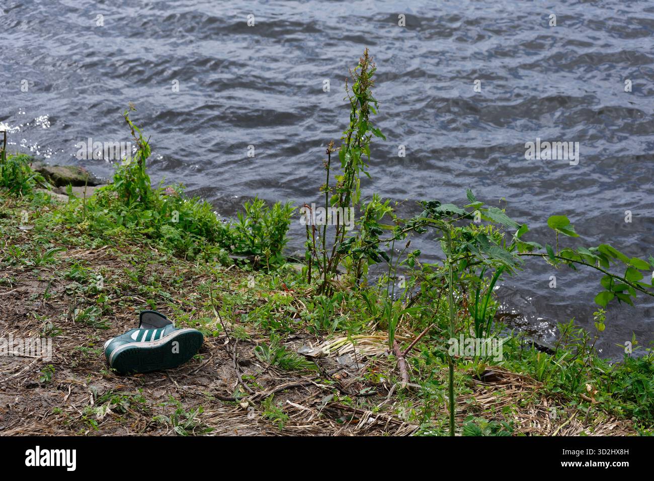Una tranquilla scena balneare mostra una singola sneaker verde appoggiata sulla sabbia vicino a piante basse con acqua oltre. Onde dolci e una brezza limpida suggeriscono una dimenticanza Foto Stock