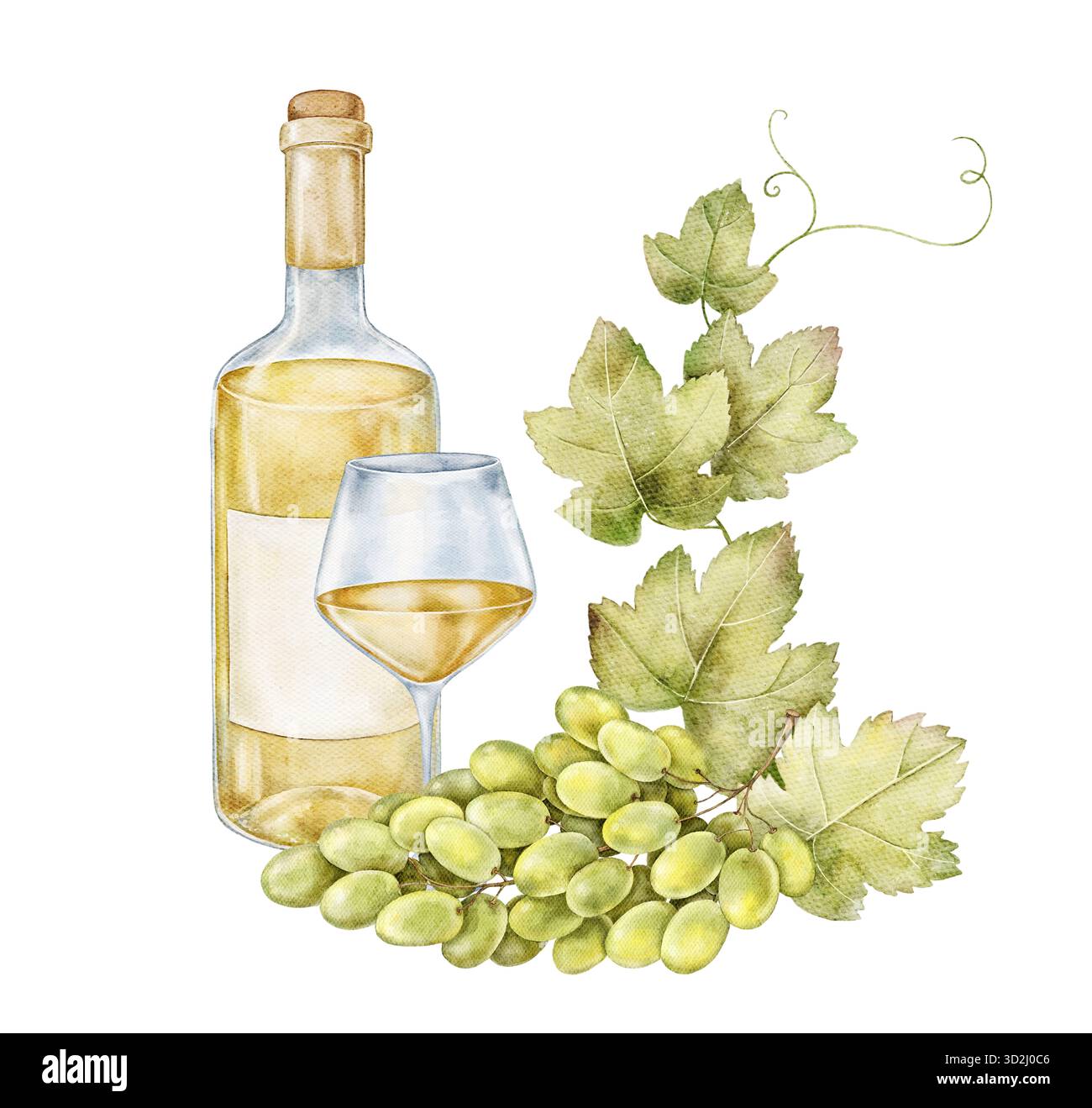 Acquerello naturale con bottiglia di vino bianco, bicchiere pieno, uva verde e foglie di vite. Composizione elegante perfetta per il marchio dei vigneti, restaura Foto Stock