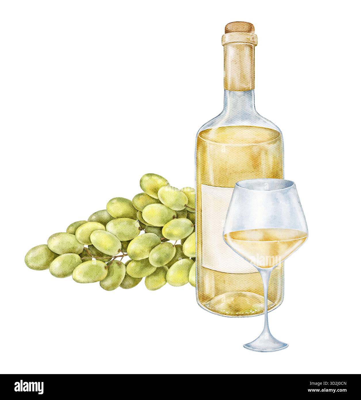 Acquerello naturale con bottiglia di vino bianco, bicchiere e mazzo di uva verde. Composizione elegante dipinta a mano, perfetta per il marchio del vigneto, gourme Foto Stock