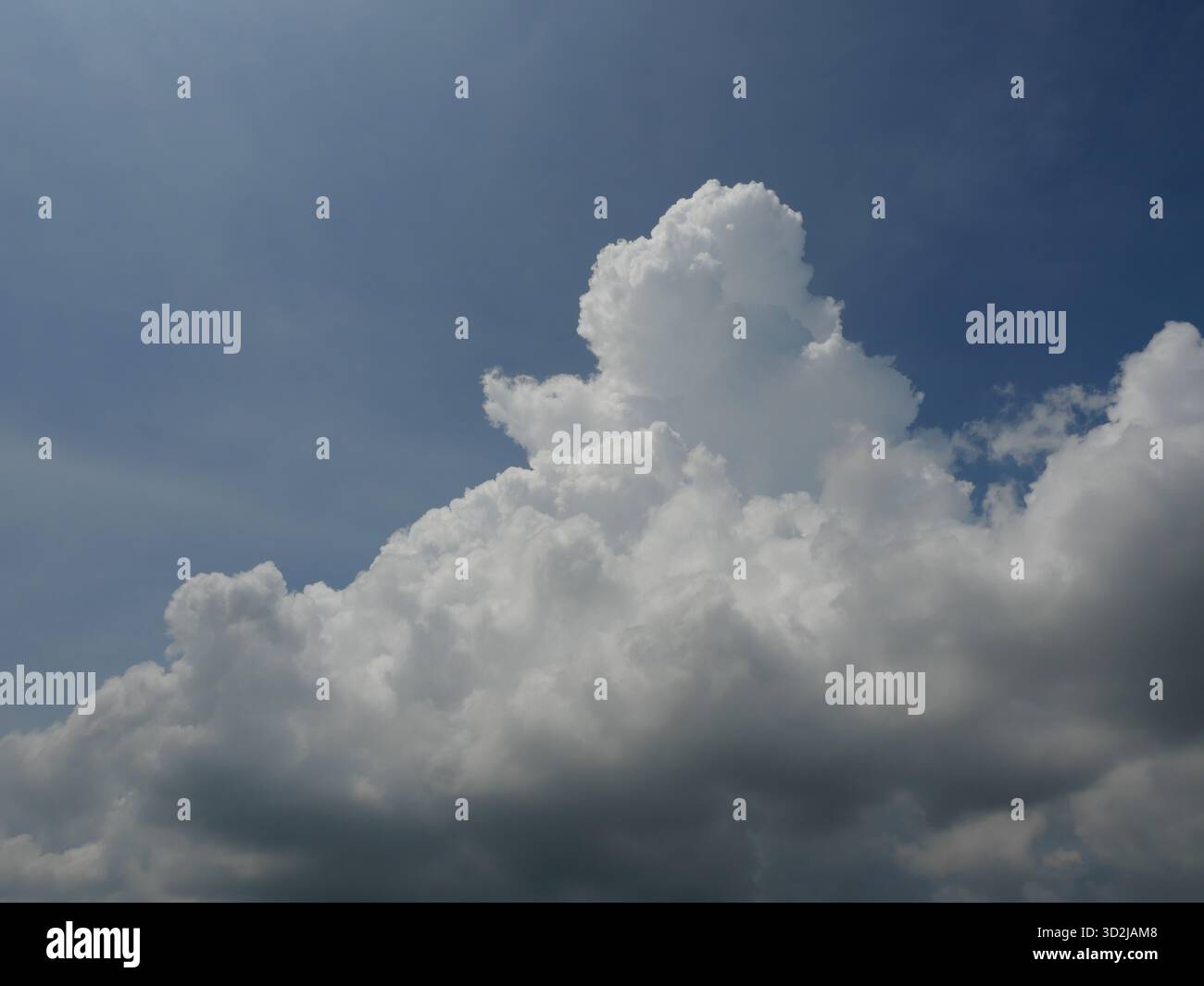 Cumulus nuvola su un bel cielo blu in luce diurna, fluidità nuvole formazioni in zona tropicale Foto Stock