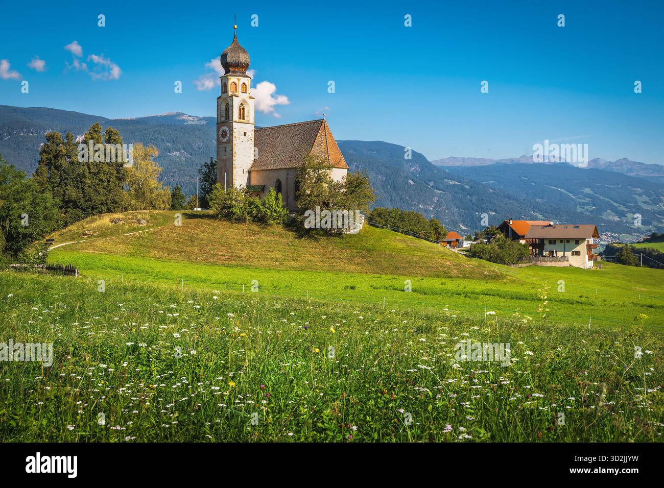 Splendida Chiesa alpina tradizionale di San Konstantin nel campo fiorito, Siusi, Trentino-alto Adige, alto Adige, Italia, Europa Foto Stock