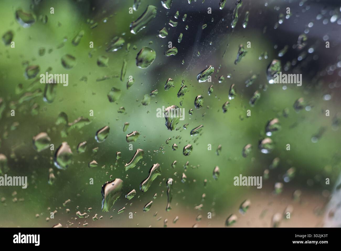 Calme gocce di pioggia e acqua su una finestra di vetro bagnata con uno splendido sfondo verde. la morbida sfocatura causata dalla pioggia crea una texture morbida e tranquilla Foto Stock
