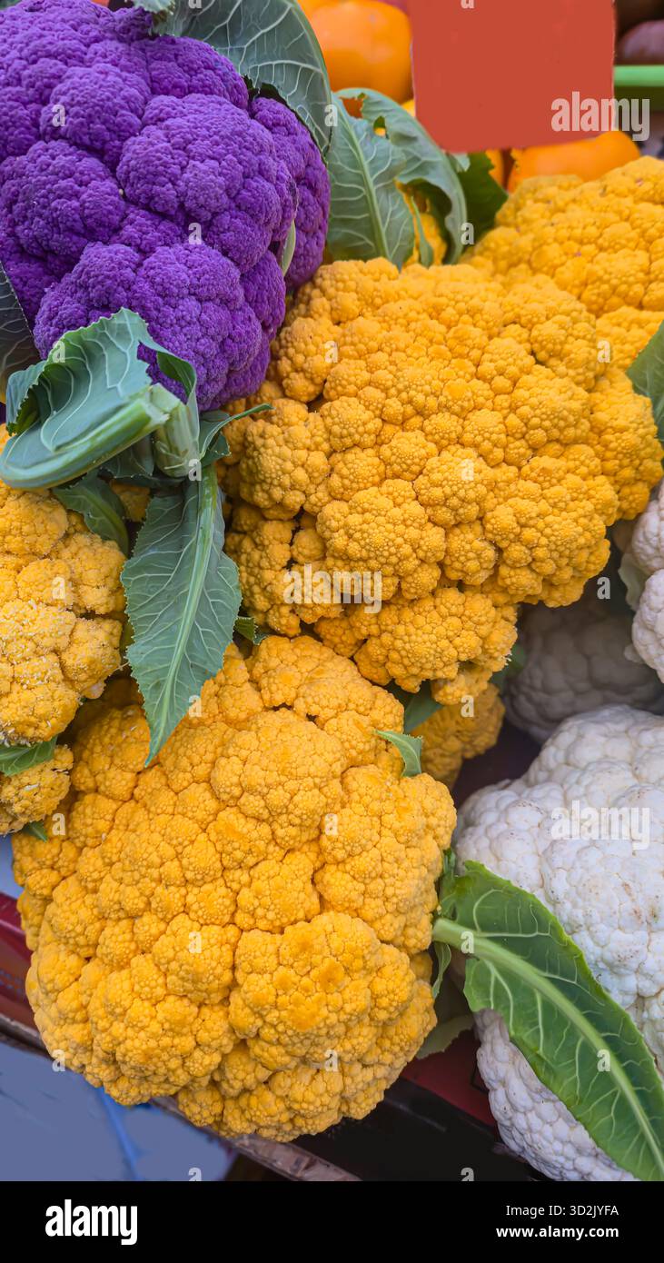 Viola, giallo e cavolfiore bianco sullo scaffale di un supermercato. Pronti per la vendita. Cibi sani. Vegetariano. Copia spazio Foto Stock
