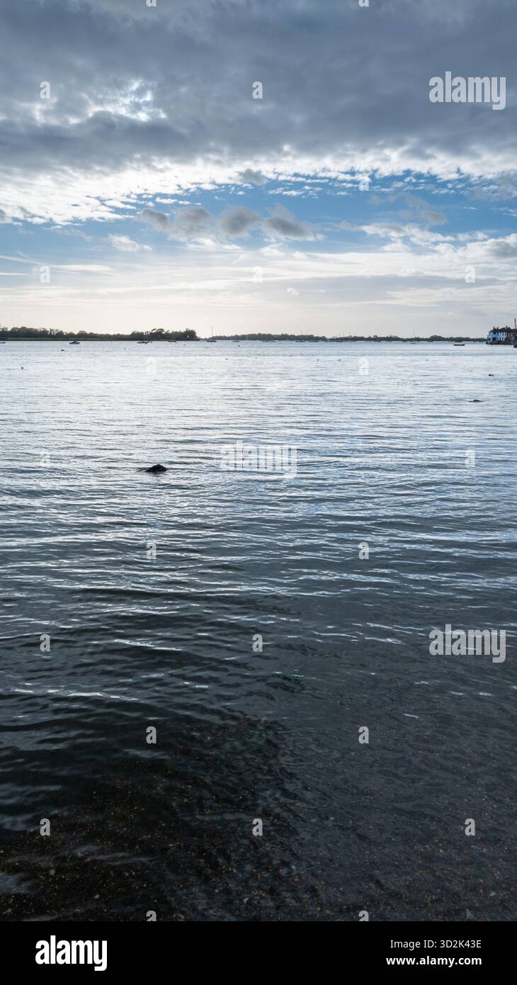 Bosham Harbour, West Sussex, Inghilterra, con l'alta marea, con una barca in legno ormeggiata e un cartello rialzato sotto un cielo azzurro con nuvole Foto Stock