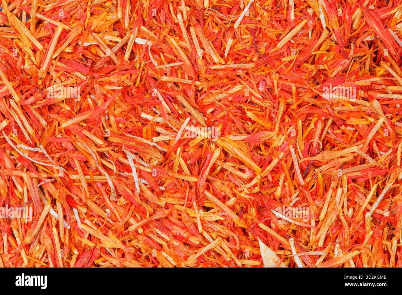 Zafferano con trama macro. Foto Stock