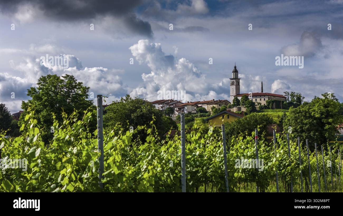 Veduta aerea della pittoresca città e dei vigneti nella Valle di Vipava, Slovenia Foto Stock