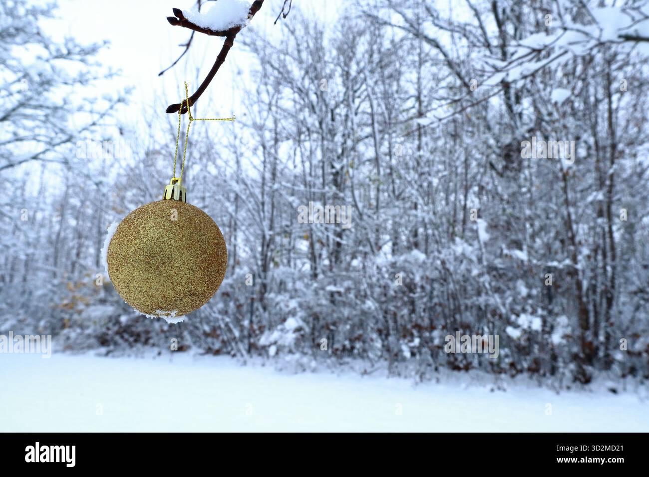 Ballo di Natale d'oro. Foto del concetto di natura. Sfondo bianco e innevato. Foto Stock