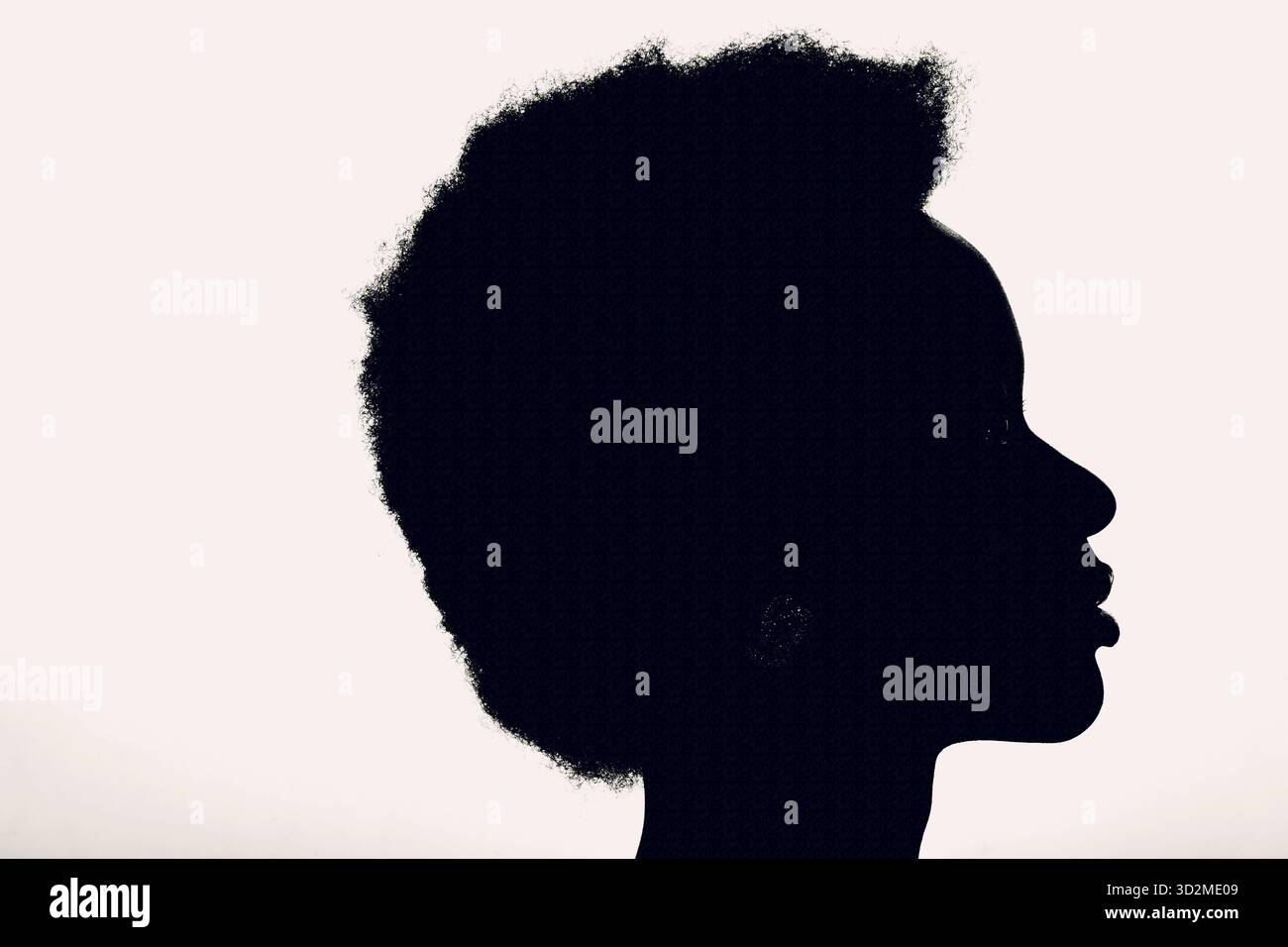 Primo piano profilo silhouette ritratto di donna afroamericana con acconciatura afro su sfondo bianco studio Foto Stock
