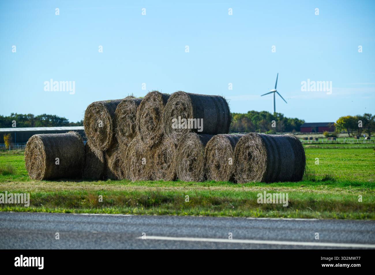 Le balle di fieno sono impilate ordinatamente in un campo verde vivace sotto il cielo blu. Una turbina eolica si trova sullo sfondo, evidenziando l'energia sostenibile in th Foto Stock