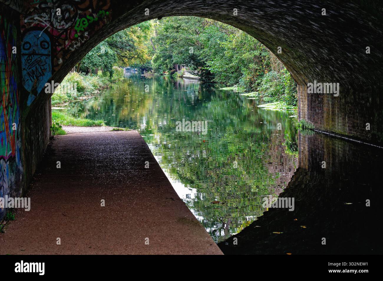 Il canale di navigazione del fiume Wey passa sotto un arco di ponte curvo a New Haw in un primo giorno d'autunno Surrey Inghilterra Regno Unito Foto Stock