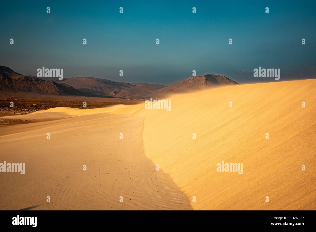 Vaste sabbie dorate delle dune di sabbia di Zahek vicino alla spiaggia di Socotra, Yemen, perfette per esplorare e godersi il paesaggio. Foto Stock