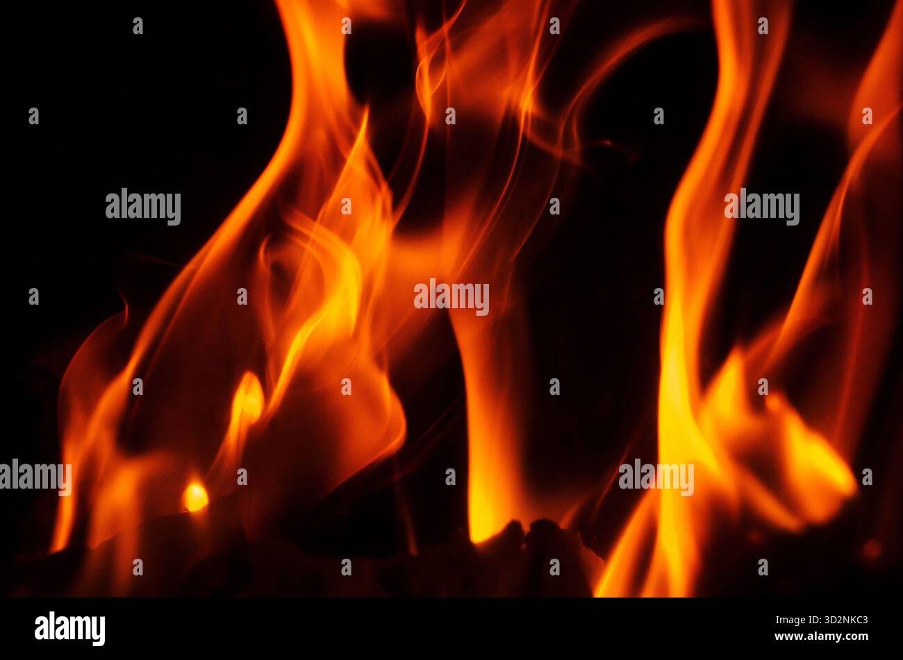 Le fiamme arancioni e gialle brillanti creano un'affascinante esposizione di calore e luce, perfetta per vari progetti creativi Foto Stock
