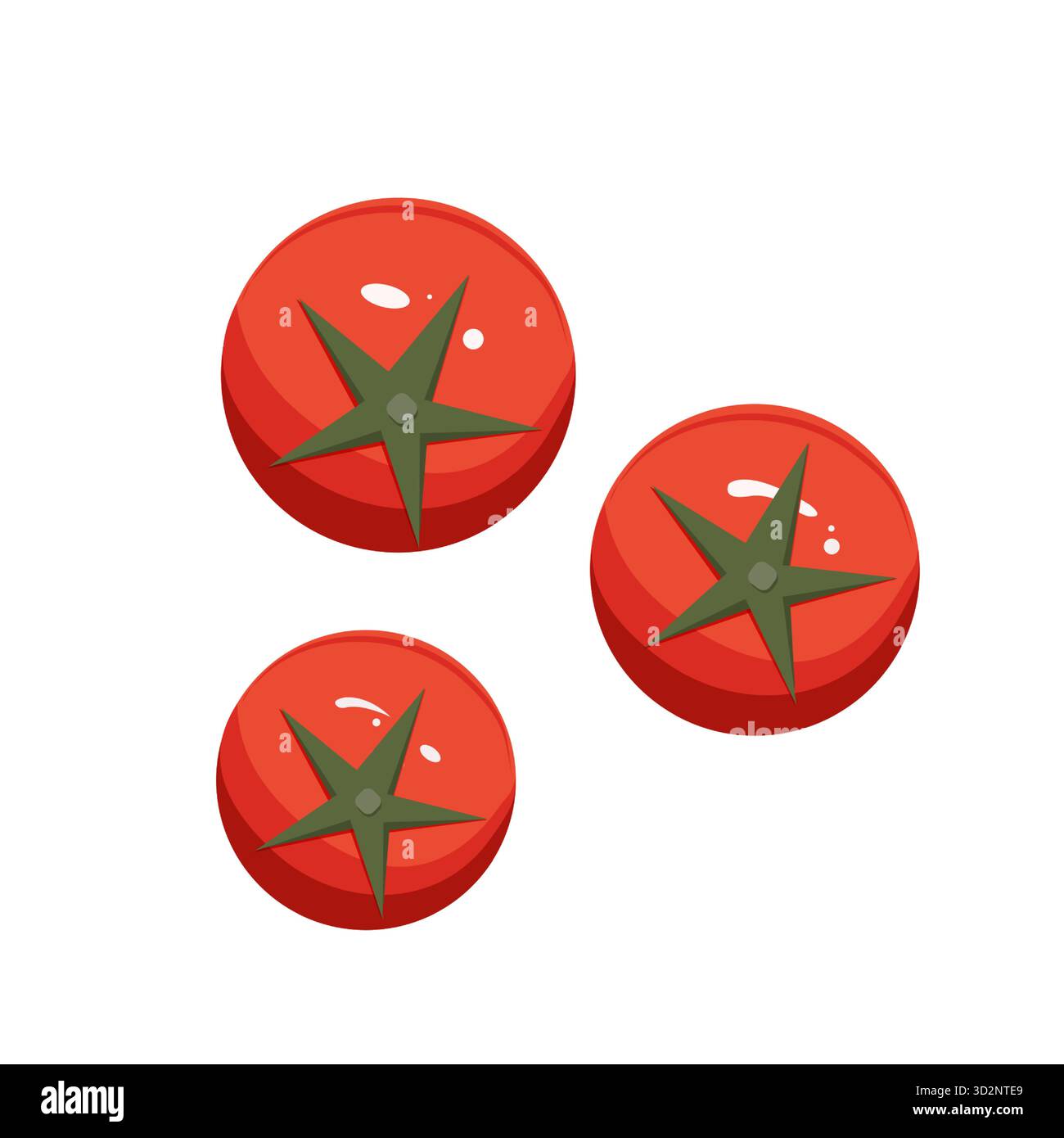 Pomodori ciliegini maturi rossi. Illustrazione vettoriale piatta. Vista dall'alto. Illustrazione culinaria, poster, concetto di giardinaggio biologico. Illustrazione Vettoriale