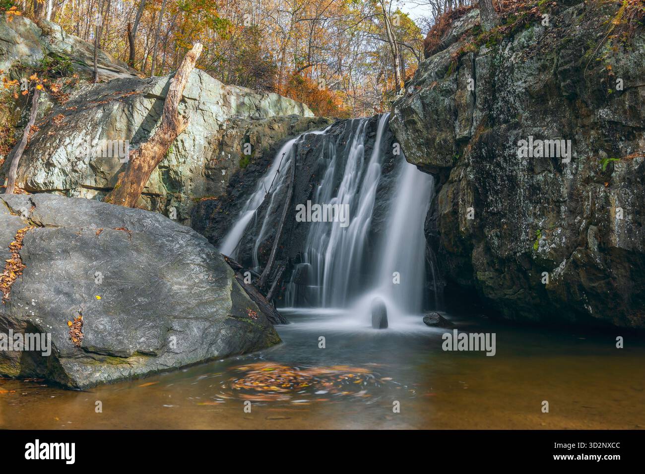 Cascate Kilgore nella sezione Falling Branch del Rocks State Park. Contea di Harford. Maryland. STATI UNITI Foto Stock