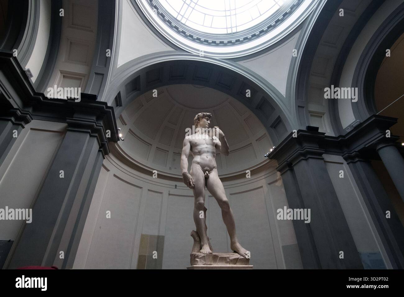 Fotografia della statua in marmo del David di Michelangelo, esposta sotto la cupola della Galleria dell'Accademia di Firenze. Un capolavoro rinascimentale Foto Stock