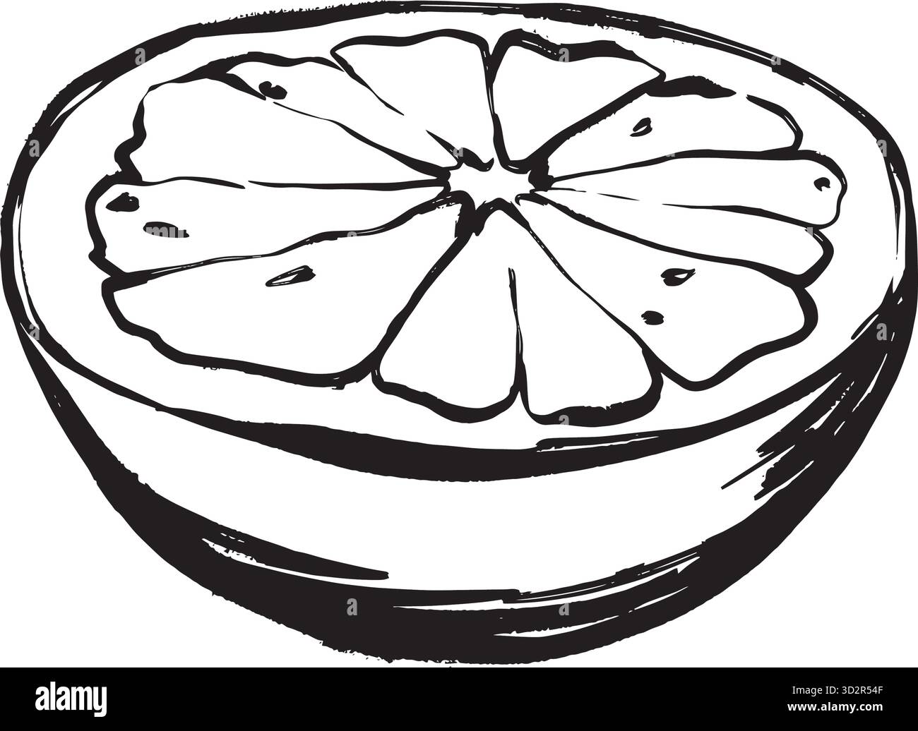 Pompelmo fresco icona del benessere disegnata a mano per menu spa, ricette disintossicanti, brunch branding e confezioni salutari. Illustrazione vettoriale in bianco e nero disegnata a mano in stile line art. Illustrazione Vettoriale