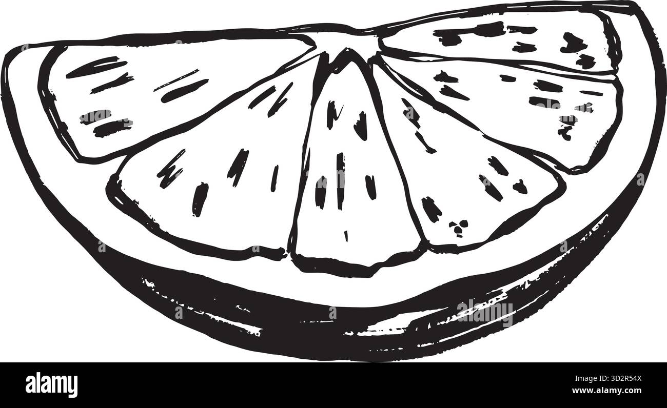 Schizzo di contorno disegnato a mano con spicchi di agrumi luminosi per esercitazioni di baristi, menu di cocktail, branding di feste e promozioni estive. Illustrazione vettoriale in bianco e nero disegnata a mano in stile line art. Illustrazione Vettoriale