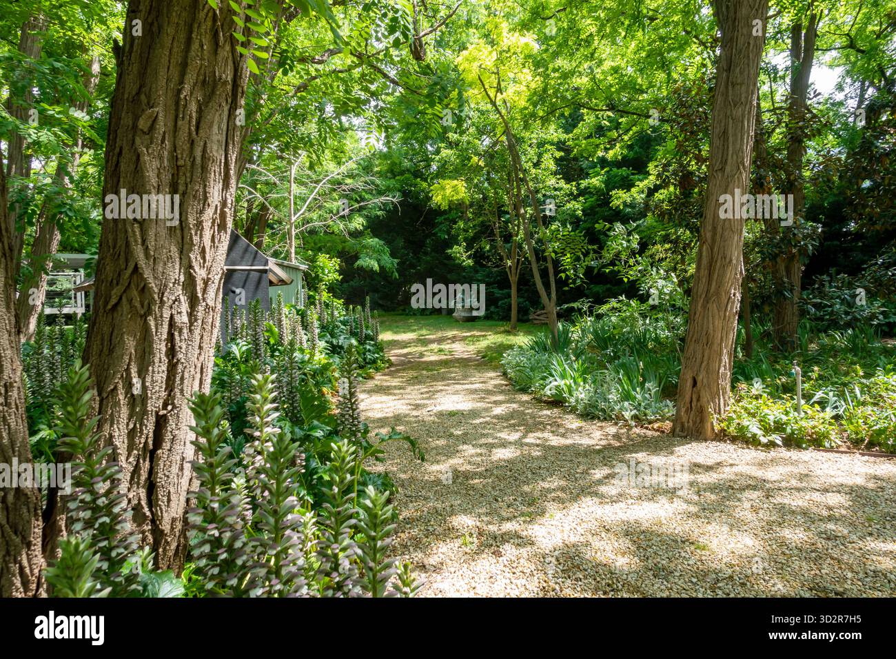 Un altro percorso che si snoda attraverso i giardini della Michael Reid Art Gallery and Cafe a Murrarundi, NSW Australia. Foto Stock