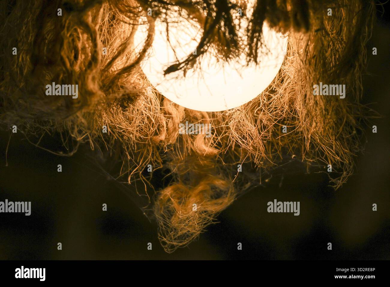 Primo piano inquietante di una lampadina incandescente ricoperta di capelli aggrovigliati e brucianti. strano e astratto concetto di orrore che crea sentimenti di pericolo, rischio e inte Foto Stock