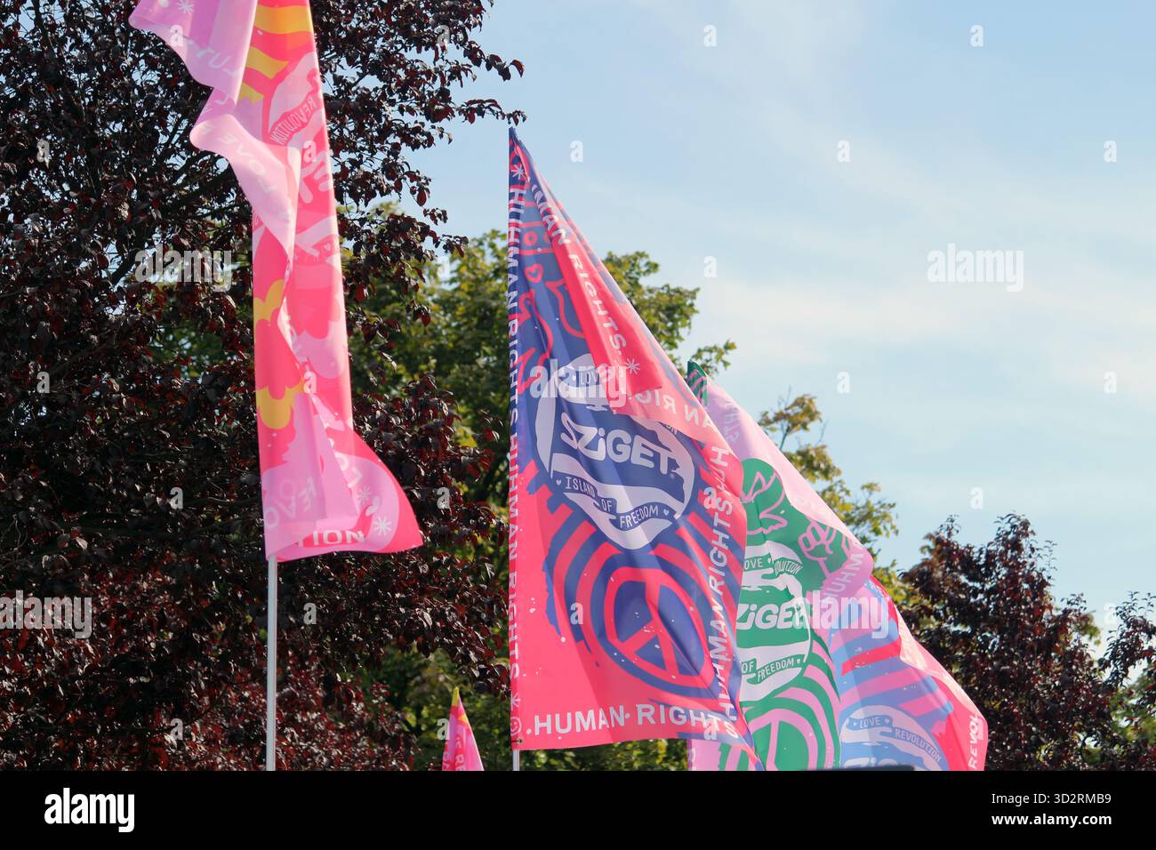 Bandiere colorate con il logo Sziget che soffiano nel vento allo Sziget Festival di Budapest, Ungheria Foto Stock