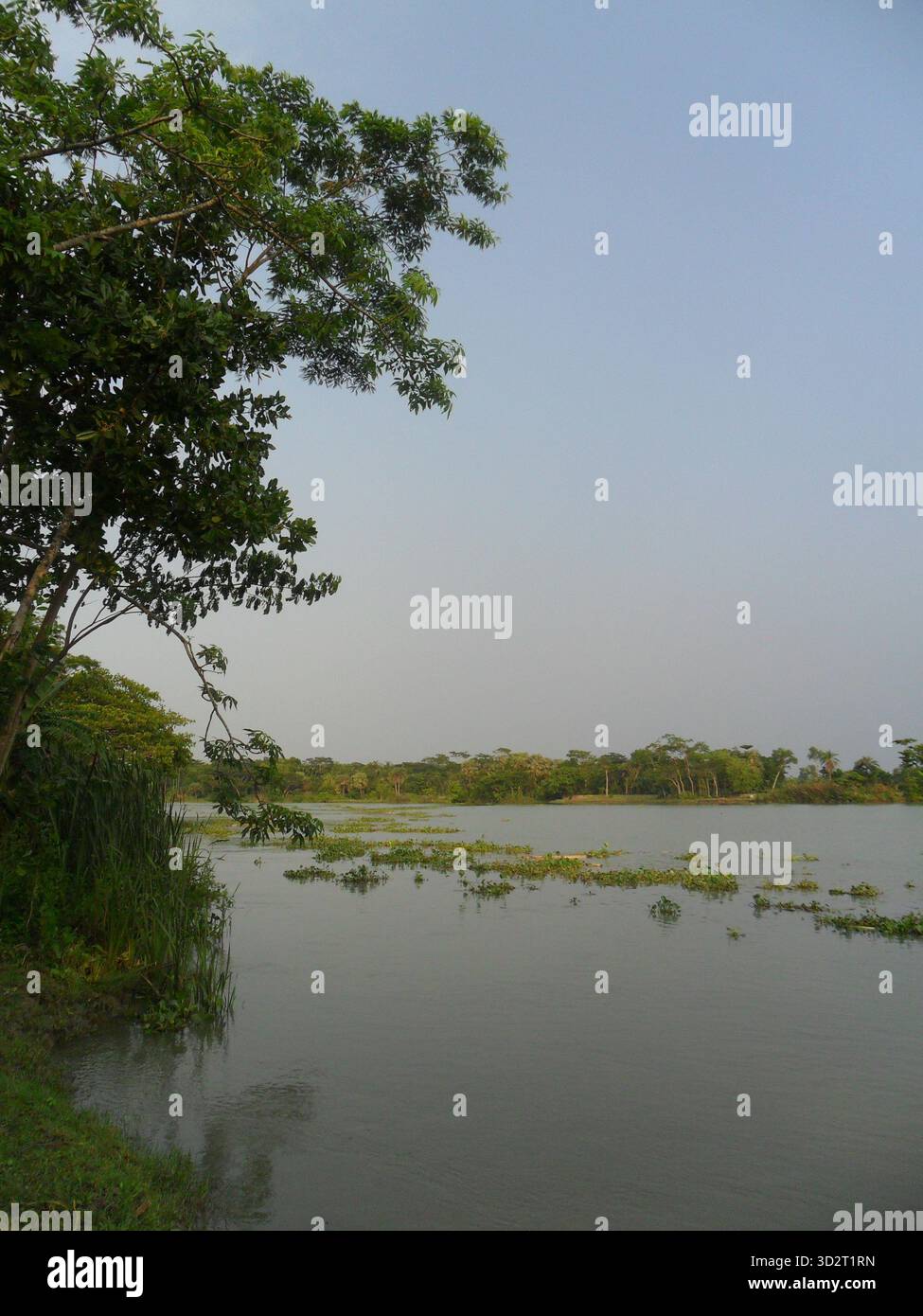 Belua River - il tranquillo corso d'acqua di Nazirpur, Pirojpur, Bangladesh Foto Stock