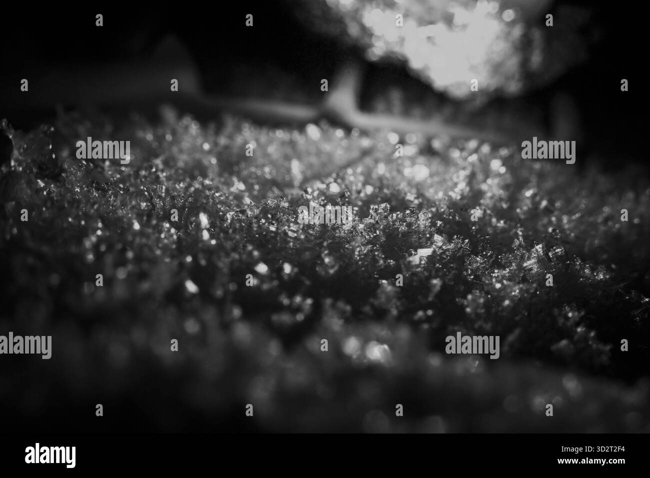 L'accattivante immagine macro rivela l'intricata consistenza di ghiaccio e cristallo di ghiaccio, creando una superficie scintillante e fredda. delicata e ghiacciata bellezza dell'inverno Foto Stock