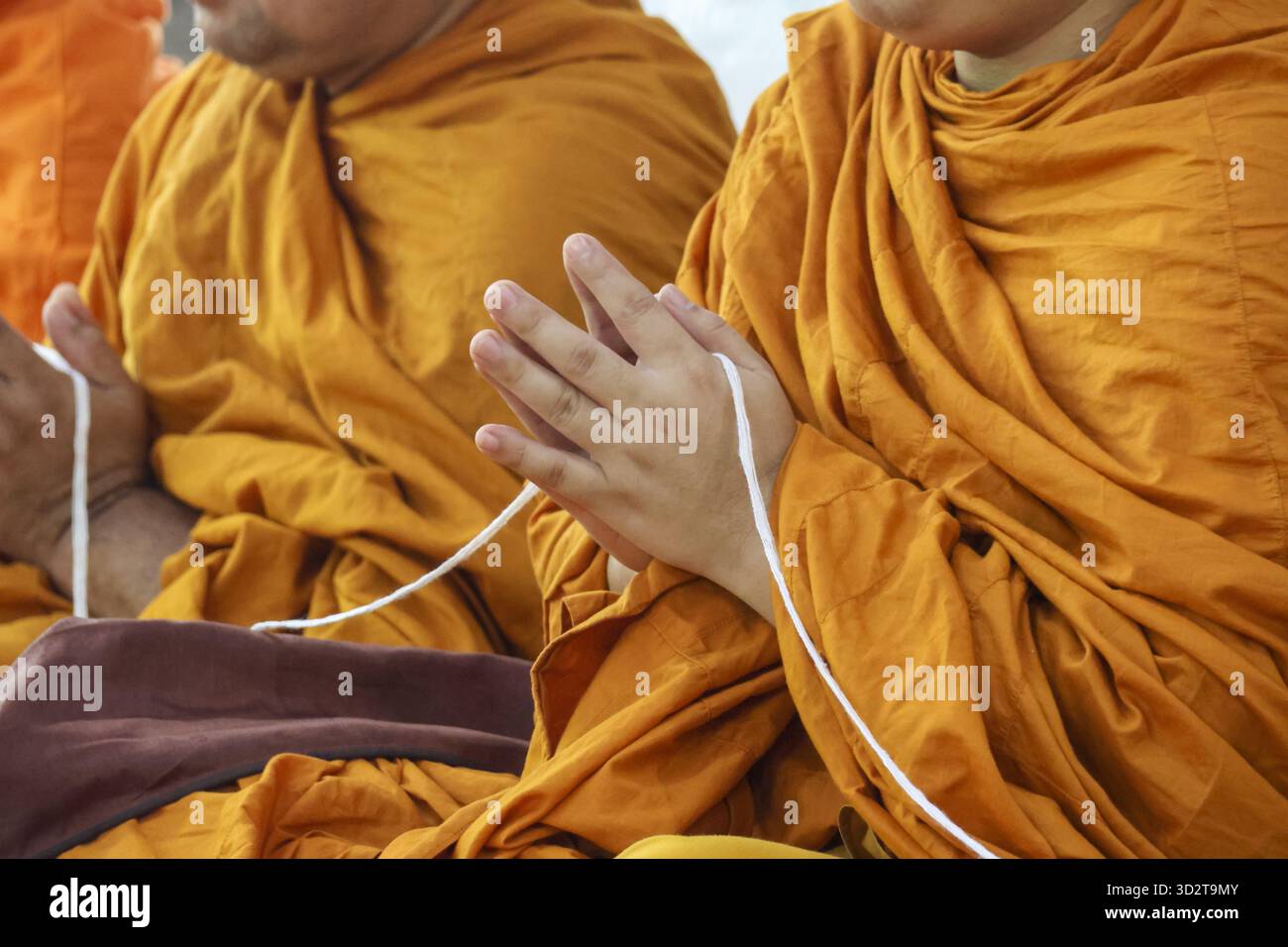 SHEIN EZwear Abo Attillato Senza Maniche In Maglia Color Arancio - Foto 3