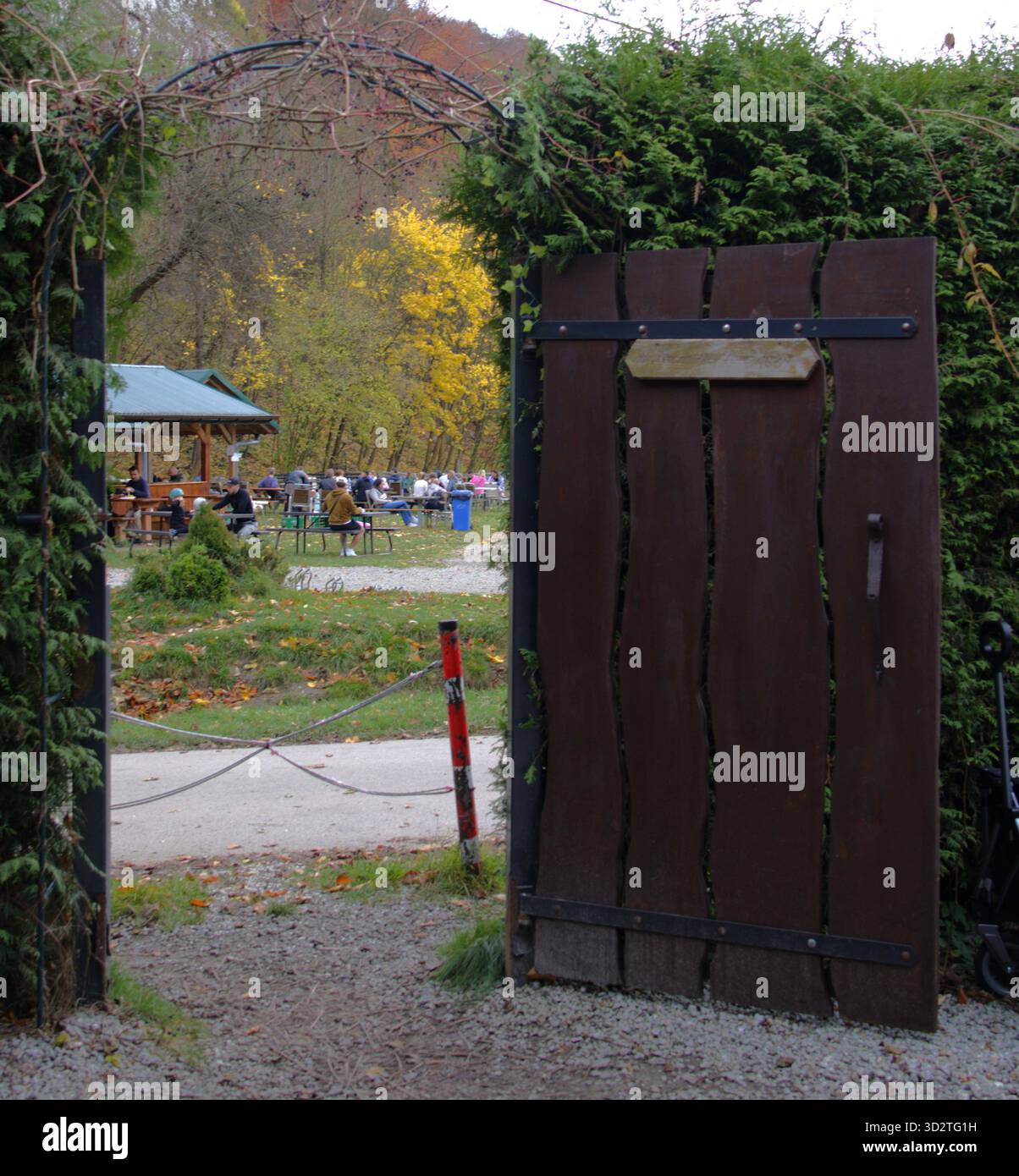 Un cancello in legno rustico collocato in un arco di siepe si apre su un parco pieno di colori autunnali. Foto Stock