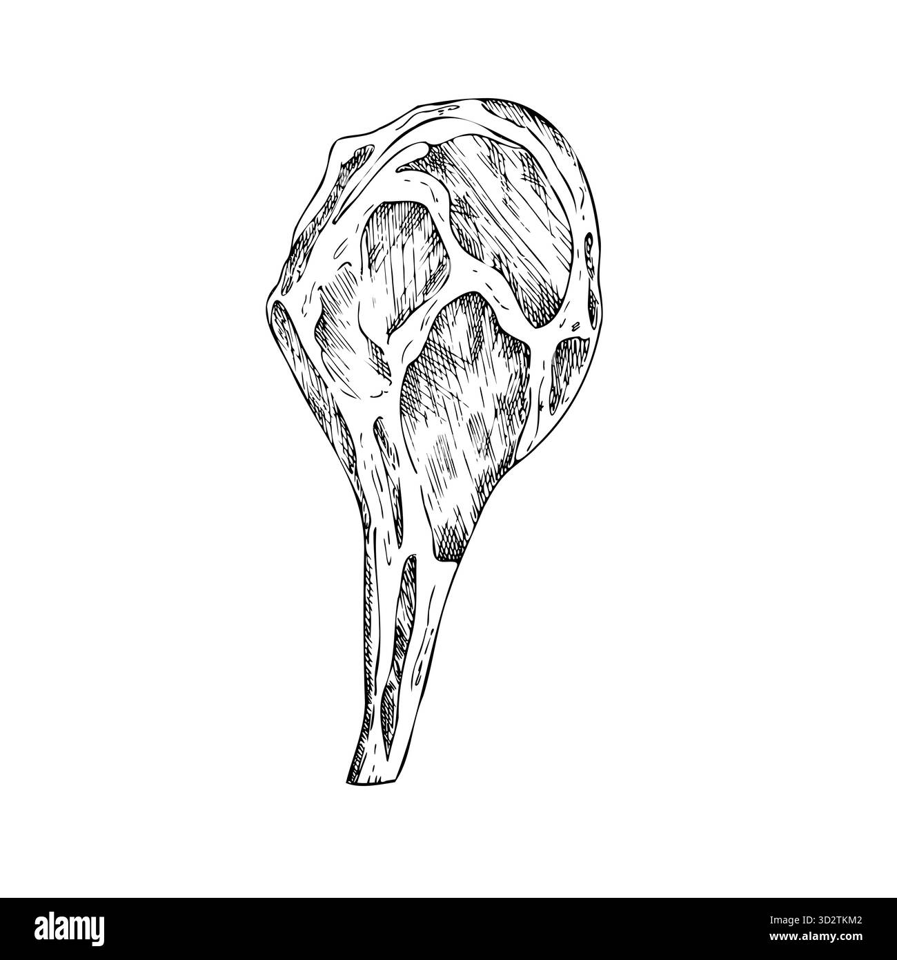 Carne vettoriale sulle costolette. Illustrazione grafica a inchiostro di maiale o manzo, isolata sullo sfondo. Schizzo della linea disegnata a mano. Per designer, stampe, logo, icona Illustrazione Vettoriale