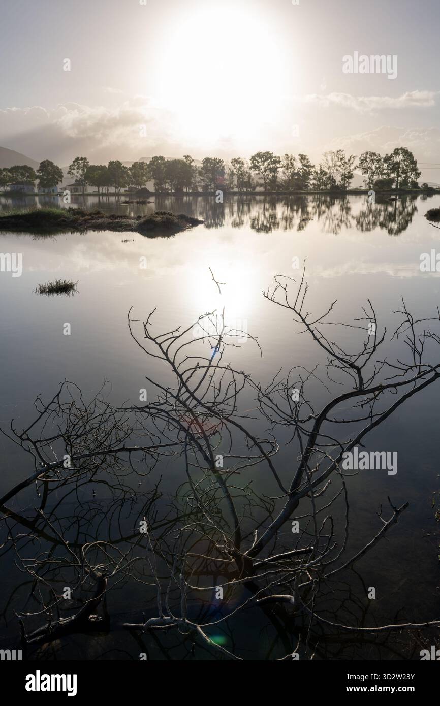 Un habitat faunistico delle paludi con il sole autunnale che sorge all'orizzonte gettando l'ombra sull'acqua ferma. Foto Stock