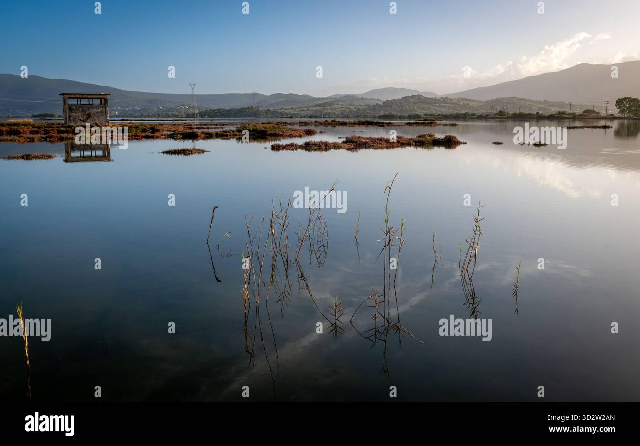 Habitat naturale delle zone umide, paludi salate con vegetazione sull'acqua ferma. Foto Stock