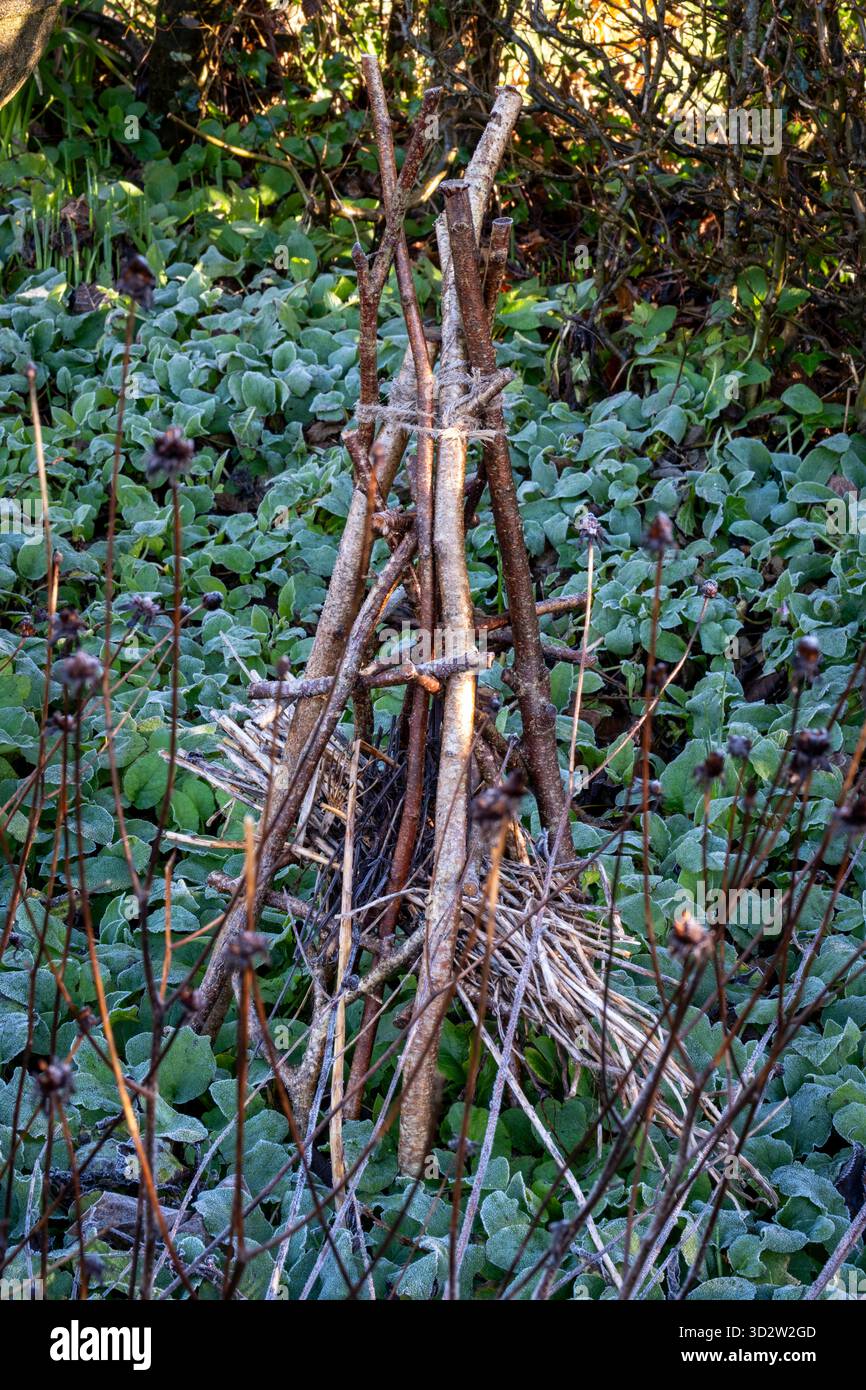 Rifugio per insetti adatto alla fauna selvatica realizzato in giardino d'inverno con ramoscelli Foto Stock